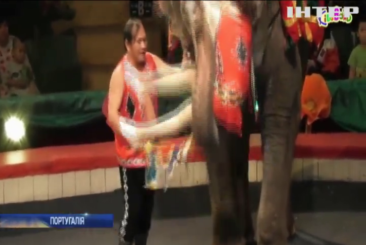 Парламент Португалії заборонив використовувати диких тварин у цирку