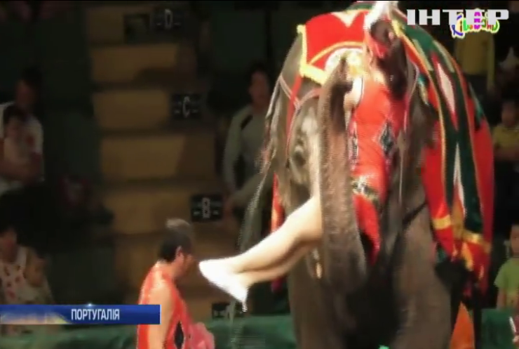 У Португалії заборонили циркові шоу із дикими звірами