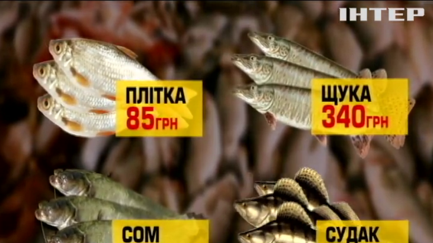 Вилов риби: які штрафи чекають на браконьєрів