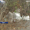 Вулиці Чернівців переповнені сміттям