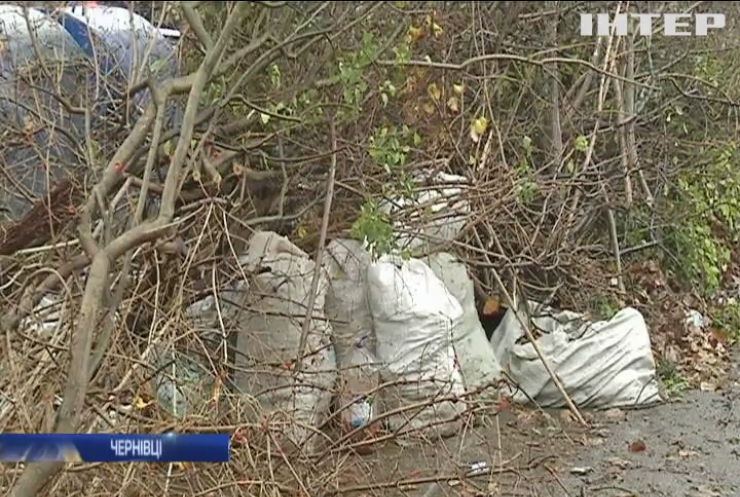 Вулиці Чернівців переповнені сміттям