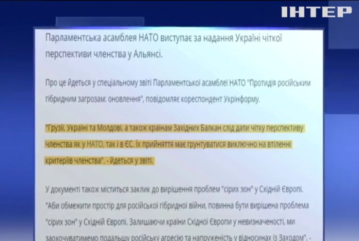 У Парламентській асамблеї НАТО закликали надати Україні членство в НАТО