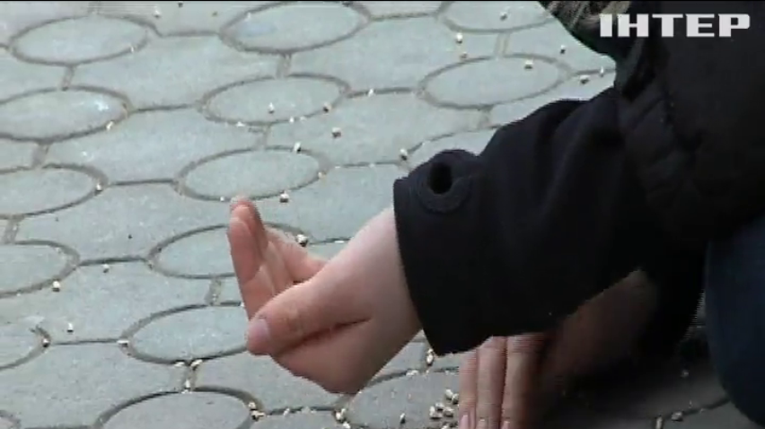 Річниця Голодомору: в Україні провели пам'ятні жалобні заходи