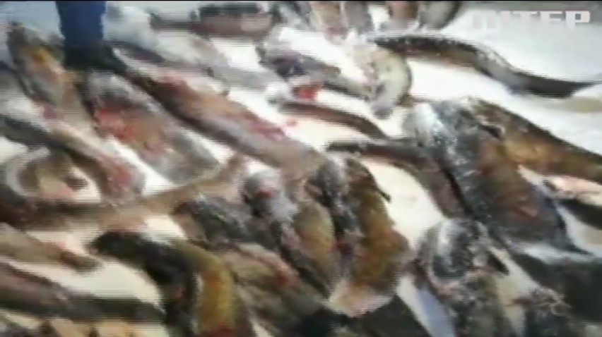 На Черкащині браконьєри знищили понад 300 кілограмів риби