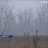 Бойовики обстрілювали околиці хутора Вільний на Луганщині