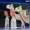 В Абу-Дабі сформували верблюжі поліцейські патрулі