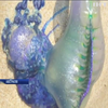 В Австралії навала медуз змусила владу закрити популярні пляжі