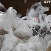 В Україні можуть заборонити пластикові пакети