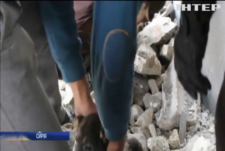 У Сирії волонтери дістали з-під завалів цуценя
