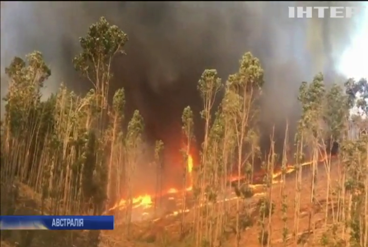 Вогняний торнадо знищує ліса Австралії (відео)