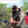 На Галапагосах знайшли живою вимерлу черепаху