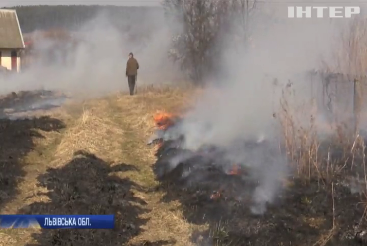 На Львівщині масово спалюють суху траву
