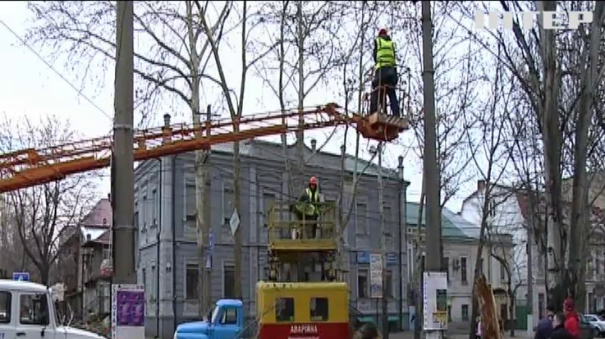 У Миколаєві дерево розплющило автобус