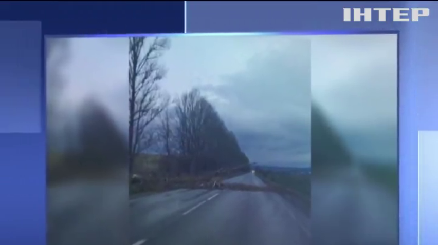 У Вінниці через негоду загинула одинадцятирічна дівчинка