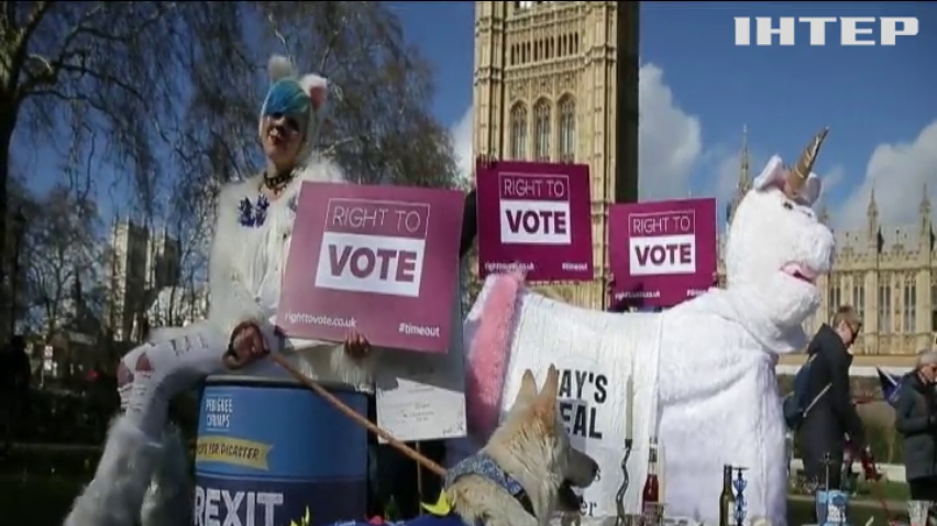 Brexit: у Лондоні влаштували символічний бенкет для собак