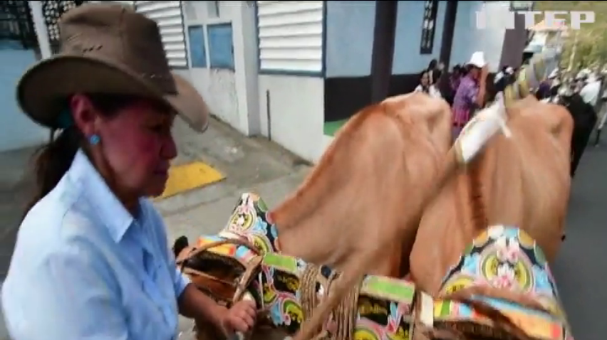 У Коста-Риці влаштували парад погоничів биків