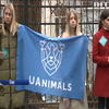 В Україні заборонили пересувні цирки з тваринами