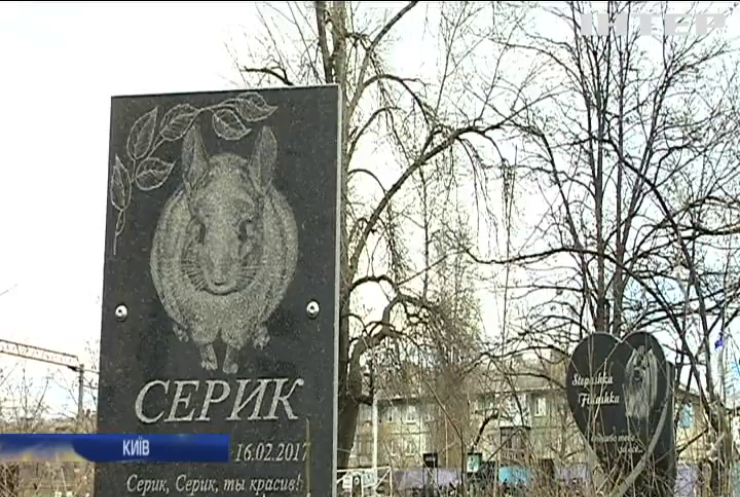 У Києві відкриють легальне кладовище для тварин