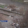 Вулиці Ужгорода завалило сміттям  (відео)