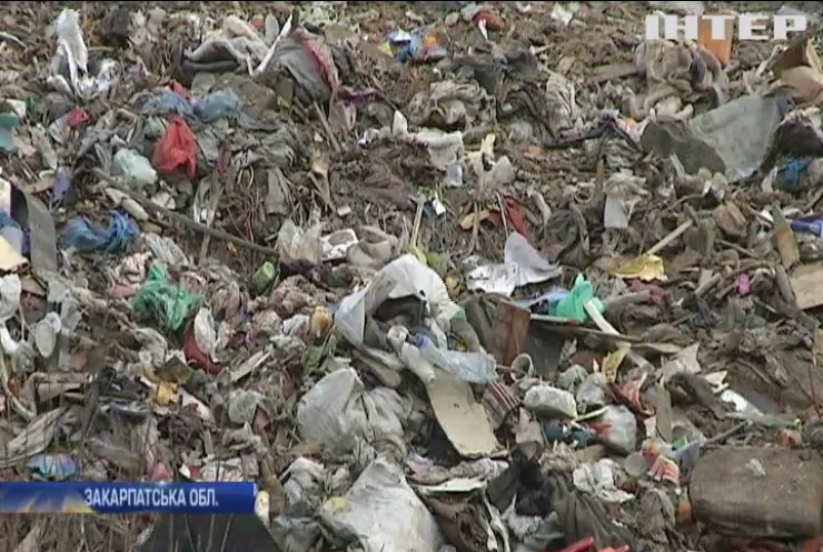 Вулиці Ужгорода завалило сміттям  (відео)