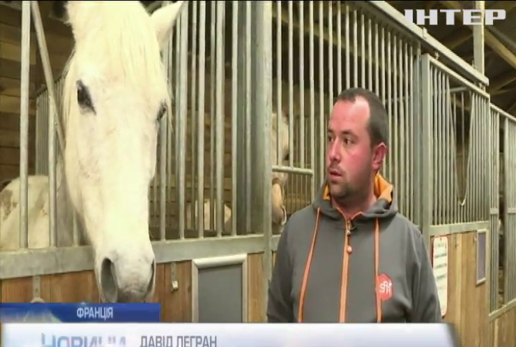 У Франції рятують знедолених коней