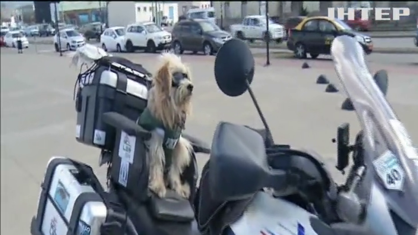 У Аргентині байкер об'їхав усю країну на мотоциклі зі своїм другом-собакою 