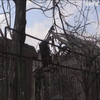 Війна на Донбасі: бойовики відкрили вогонь із забороненого озброєння