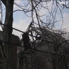 Війна на Донбасі: бойовики поновили мінометні обстріли