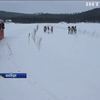 У Лапландії відбулись традиційні перегони на оленях