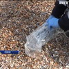 В Румунії знайшли на пляжах понад 150 кілограмів кокаїну