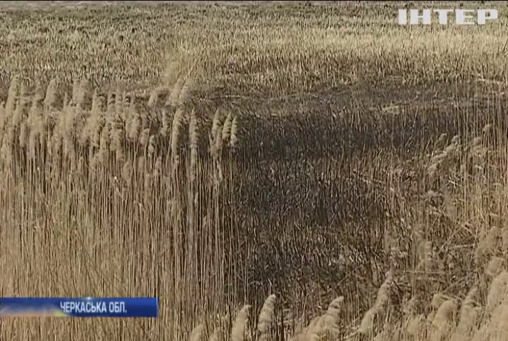 Україну охопили масові пожежі сухої трави