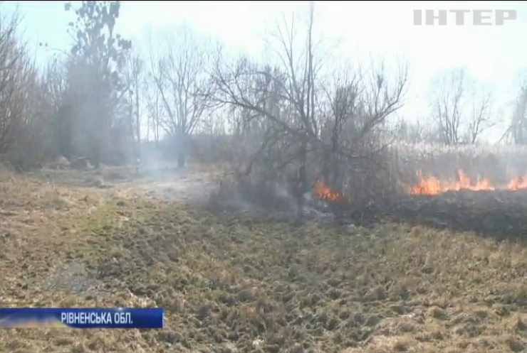 Пожежі в Україні: у полум'ї гине все живе