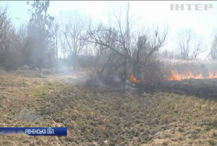 Пожежі в Україні: у полум'ї гинуть люди