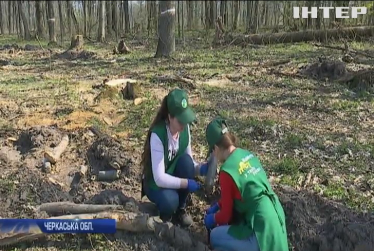 У Черкасах стартувала масштабна акція з висадження дерев