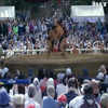 У японському храмі влаштували змагання із сумо