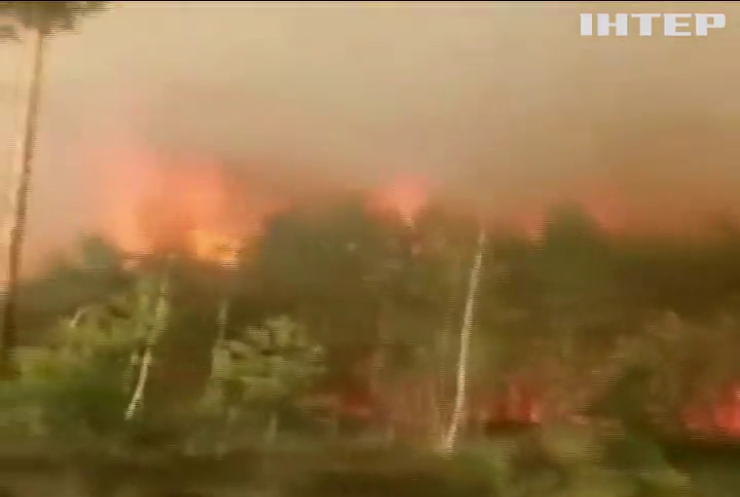 Пожежа на Рівненщині: вогонь охопив природний заповідник