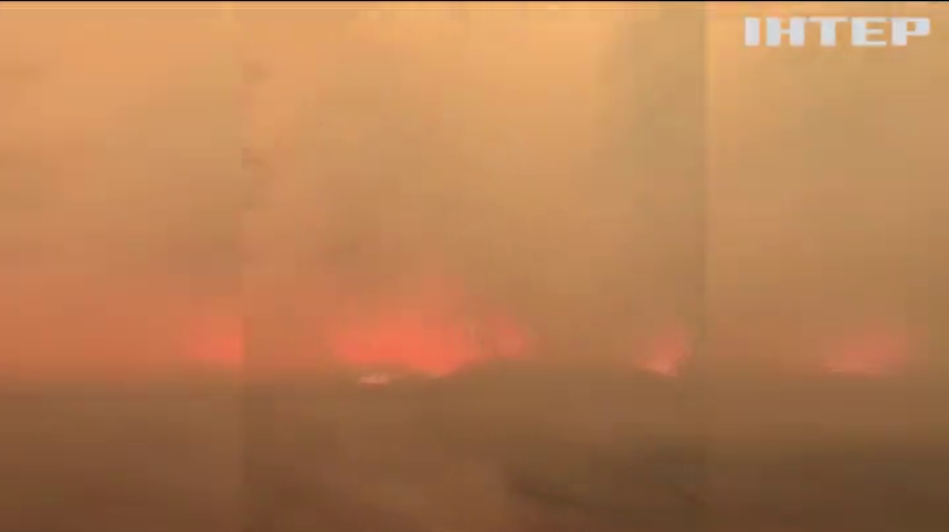 Пожежа у лісах Білорусі загрожує Україні