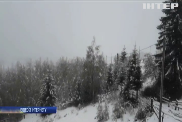 Травневий сніг у Карпатах: синоптики оголосили штормове попередження