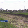 Негода в Україні: фермери підраховують збитки