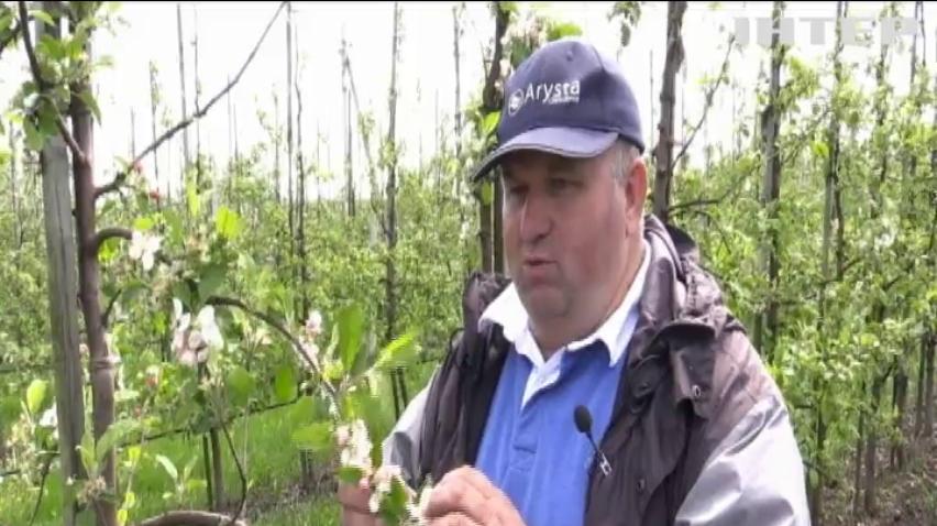 Негода на Львівщині: фермери підраховують збитки від стихії