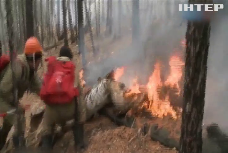Росію охопили масштабні лісові пожежі