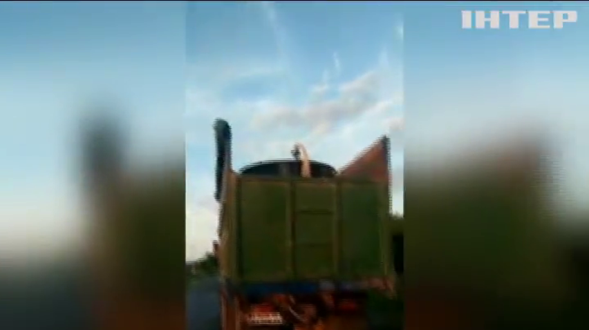 Жителі Рівненщини хворіють після оприскування посівів  