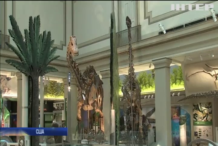 Музей у Вашингтоні відкрив залу скам'янілостей