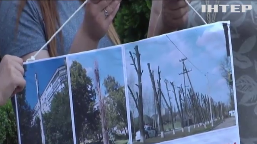 Жителі Кропивницького вимагають заборонити обрізання дерев