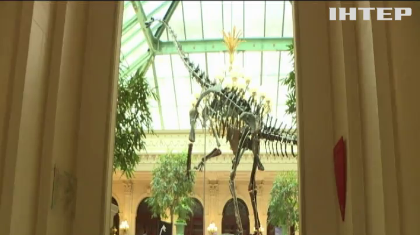 У Парижі виставили на торги скелет динозавра