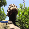 Війна на Донбасі: наказу "не стріляти у відповідь" не давали