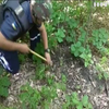 Сапери зачищають Донбас від вибухонебезпечних предметів