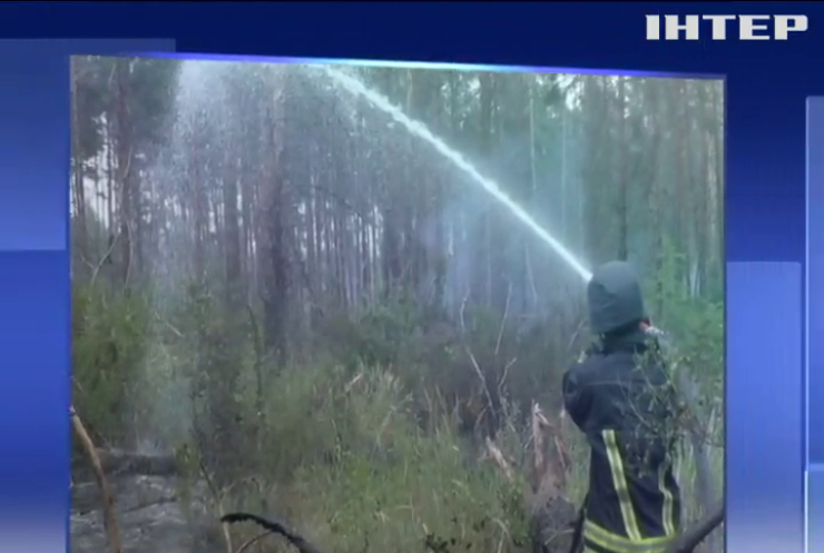 Під Станицею-Луганською загасили пожежу