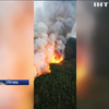 У Туреччині спалахнула потужна лісова пожежа