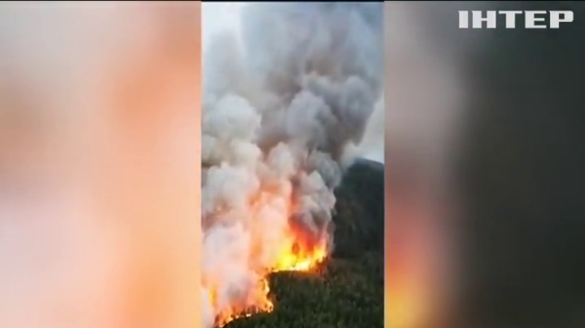 У Туреччині спалахнула потужна лісова пожежа